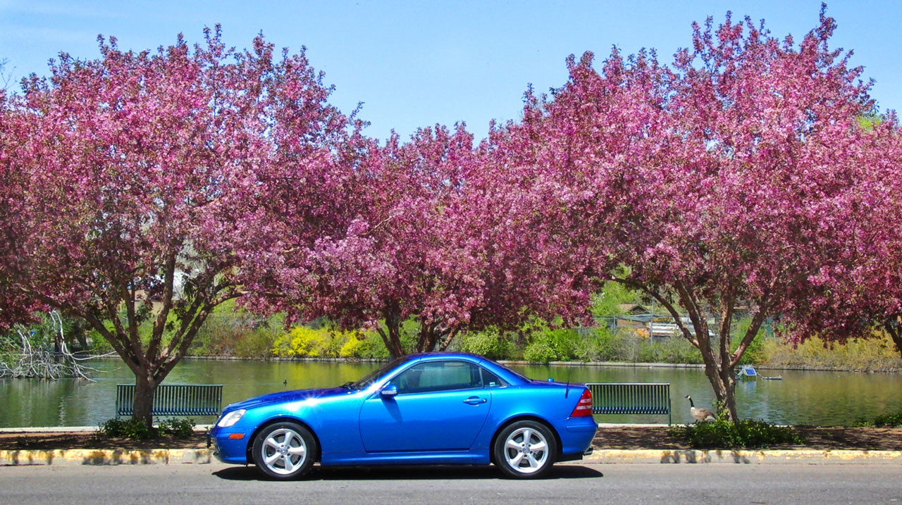 Mercedes Benz SLK 320